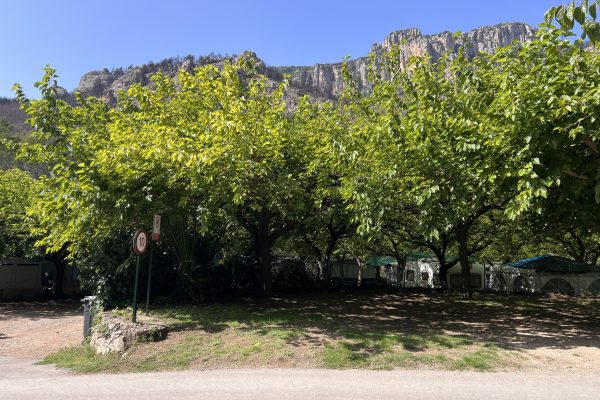 campingloscloticos_bejis_parcelas_5 campingloscloticos_bejis_parcelas_5